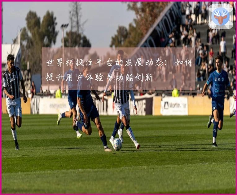世界杯投注平台的发展动态:如何提升用户体验与功能创新