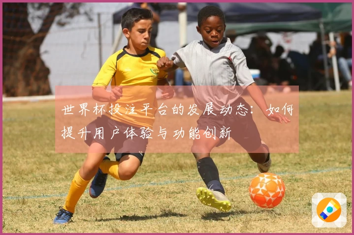 世界杯投注平台的发展动态：如何提升用户体验与功能创新