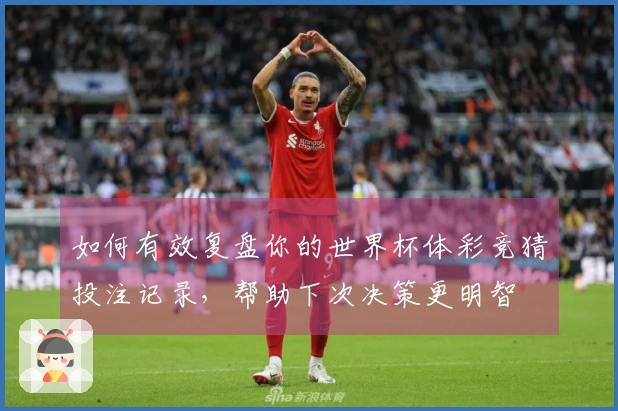 如何有效复盘你的世界杯体彩竞猜投注记录，帮助下次决策更明智