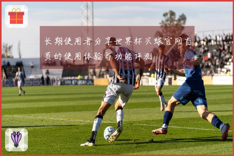 长期使用者分享世界杯买球官网首页的使用体验与功能评测