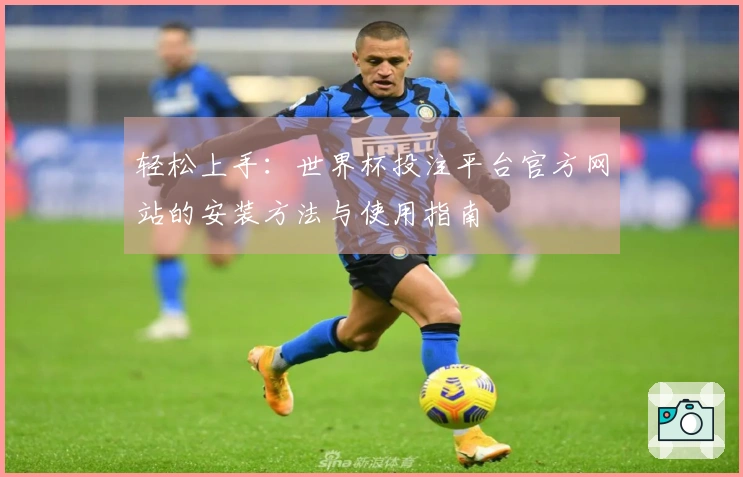 轻松上手：世界杯投注平台官方网站的安装方法与使用指南