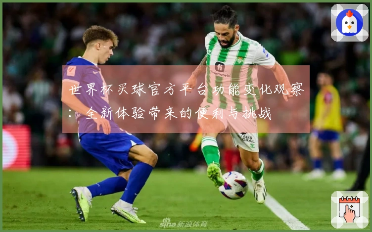 世界杯买球官方平台功能变化观察：全新体验带来的便利与挑战