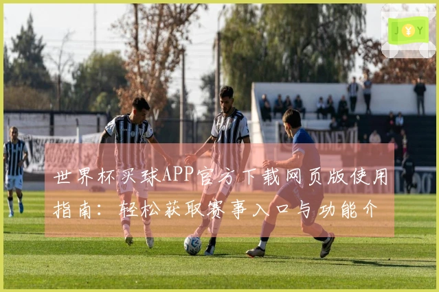 世界杯买球APP官方下载网页版使用指南：轻松获取赛事入口与功能介绍
