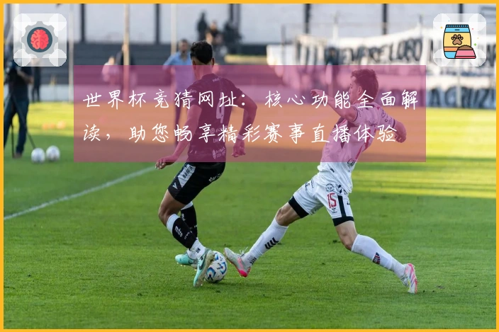 世界杯竞猜网址：核心功能全面解读，助您畅享精彩赛事直播体验