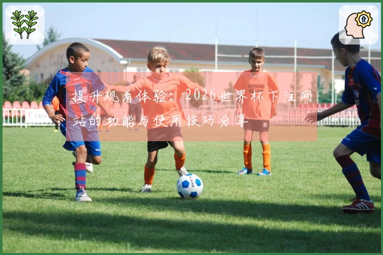 提升观看体验：2026世界杯下注网站的功能与使用技巧分享
